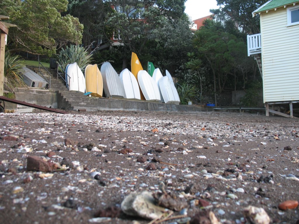 beachdebris.jpg