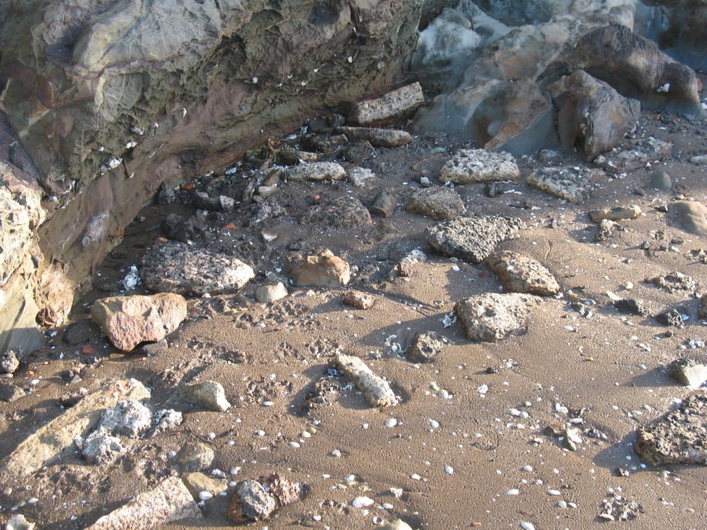 img_6515.jpg