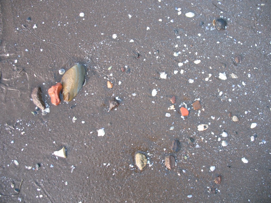 img_6529.jpg